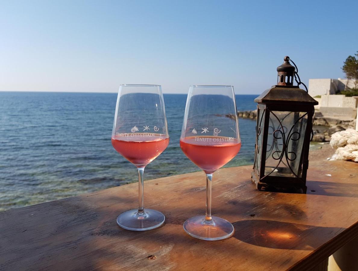 La Terrazza Su - Monaco Holiday home